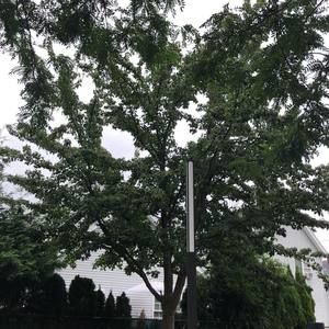 Meet your Posher, Zahra